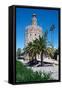 Torre del Oro, Seville, Andalusia, Spain, Europe-Ethel Davies-Framed Stretched Canvas