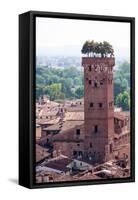 Torre Guinigi as Seen from Torre Delle Ore, Lucca, Tuscany, Italy, Europe-Peter Groenendijk-Framed Stretched Canvas