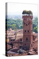 Torre Guinigi as Seen from Torre Delle Ore, Lucca, Tuscany, Italy, Europe-Peter Groenendijk-Stretched Canvas