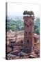 Torre Guinigi as Seen from Torre Delle Ore, Lucca, Tuscany, Italy, Europe-Peter Groenendijk-Stretched Canvas