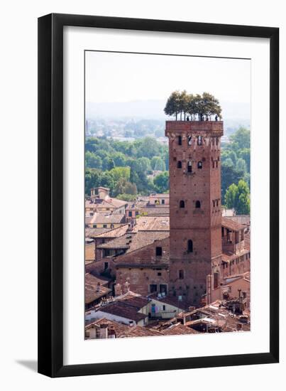 Torre Guinigi as Seen from Torre Delle Ore, Lucca, Tuscany, Italy, Europe-Peter Groenendijk-Framed Photographic Print