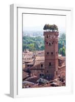 Torre Guinigi as Seen from Torre Delle Ore, Lucca, Tuscany, Italy, Europe-Peter Groenendijk-Framed Photographic Print