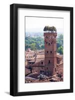 Torre Guinigi as Seen from Torre Delle Ore, Lucca, Tuscany, Italy, Europe-Peter Groenendijk-Framed Photographic Print
