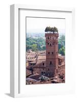 Torre Guinigi as Seen from Torre Delle Ore, Lucca, Tuscany, Italy, Europe-Peter Groenendijk-Framed Photographic Print