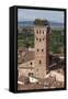 Torre Guinigi Topped by Holm Oak Tree, Lucca, Tuscany, Italy, Europe-Stuart Black-Framed Stretched Canvas