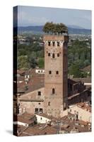 Torre Guinigi Topped by Holm Oak Tree, Lucca, Tuscany, Italy, Europe-Stuart Black-Stretched Canvas