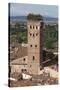 Torre Guinigi Topped by Holm Oak Tree, Lucca, Tuscany, Italy, Europe-Stuart Black-Stretched Canvas