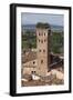 Torre Guinigi Topped by Holm Oak Tree, Lucca, Tuscany, Italy, Europe-Stuart Black-Framed Photographic Print