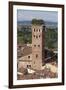 Torre Guinigi Topped by Holm Oak Tree, Lucca, Tuscany, Italy, Europe-Stuart Black-Framed Photographic Print