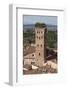 Torre Guinigi Topped by Holm Oak Tree, Lucca, Tuscany, Italy, Europe-Stuart Black-Framed Photographic Print
