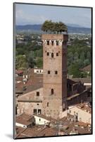 Torre Guinigi Topped by Holm Oak Tree, Lucca, Tuscany, Italy, Europe-Stuart Black-Mounted Photographic Print