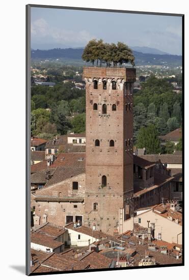 Torre Guinigi Topped by Holm Oak Tree, Lucca, Tuscany, Italy, Europe-Stuart Black-Mounted Photographic Print