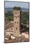 Torre Guinigi Topped by Holm Oak Tree, Lucca, Tuscany, Italy, Europe-Stuart Black-Mounted Photographic Print