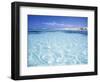 Torre Lapillo, Porto Cesareo, Lecce, Salento, Puglia, Italy, Mediterranean, Europe-Vincenzo Lombardo-Framed Photographic Print