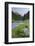 Torrente Sarca in Val Nambrone, Trentino, Italy-Rainer Mirau-Framed Photographic Print