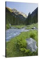 Torrente Sarca in Val Nambrone, Trentino, Italy-Rainer Mirau-Stretched Canvas