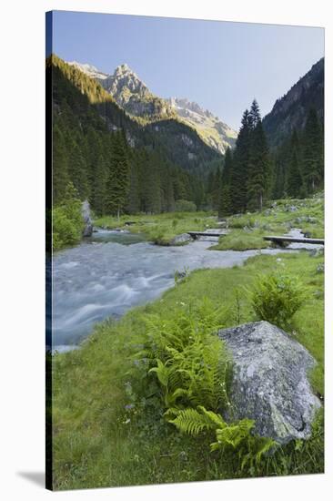 Torrente Sarca in Val Nambrone, Trentino, Italy-Rainer Mirau-Stretched Canvas