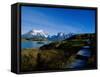 Torres Del Paine National Park, Chile-null-Framed Stretched Canvas