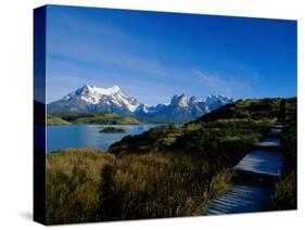 Torres Del Paine National Park, Chile-null-Stretched Canvas