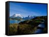 Torres Del Paine National Park, Chile-null-Framed Stretched Canvas