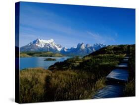 Torres Del Paine National Park, Chile-null-Stretched Canvas