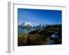 Torres Del Paine National Park, Chile-null-Framed Premium Photographic Print