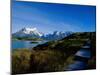 Torres Del Paine National Park, Chile-null-Mounted Premium Photographic Print