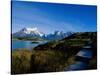 Torres Del Paine National Park, Chile-null-Stretched Canvas