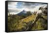 Torres Del Paine National Park, Patagonia, Chile, South America-Ben Pipe-Framed Stretched Canvas