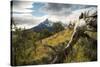 Torres Del Paine National Park, Patagonia, Chile, South America-Ben Pipe-Stretched Canvas