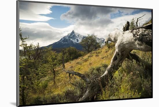Torres Del Paine National Park, Patagonia, Chile, South America-Ben Pipe-Mounted Photographic Print