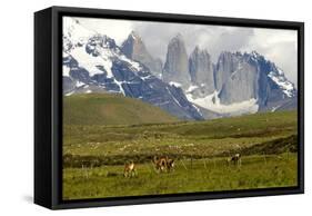 Torres Del Paine-Tony-Framed Stretched Canvas