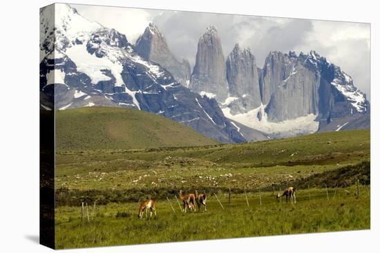 Torres Del Paine-Tony-Stretched Canvas