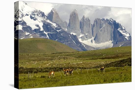 Torres Del Paine-Tony-Stretched Canvas