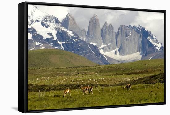 Torres Del Paine-Tony-Framed Stretched Canvas