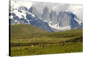 Torres Del Paine-Tony-Stretched Canvas