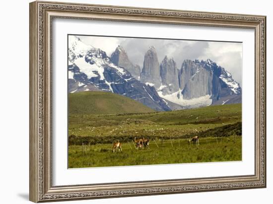 Torres Del Paine-Tony-Framed Photographic Print