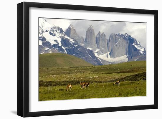 Torres Del Paine-Tony-Framed Photographic Print