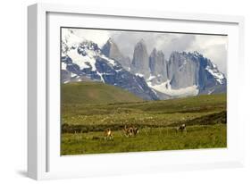 Torres Del Paine-Tony-Framed Photographic Print