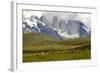 Torres Del Paine-Tony-Framed Photographic Print