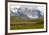 Torres Del Paine-Tony-Framed Photographic Print