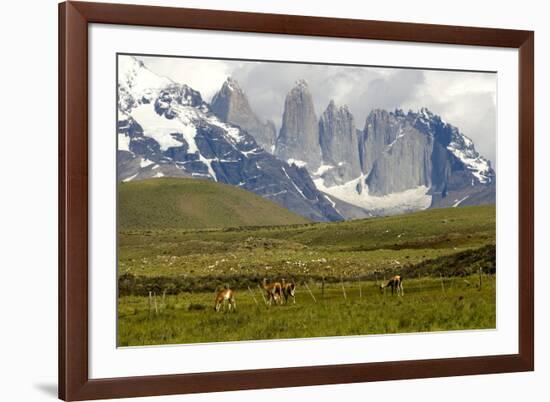 Torres Del Paine-Tony-Framed Photographic Print