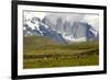 Torres Del Paine-Tony-Framed Photographic Print