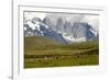 Torres Del Paine-Tony-Framed Photographic Print