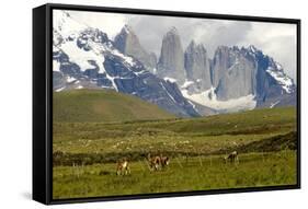 Torres Del Paine-Tony-Framed Stretched Canvas