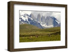 Torres Del Paine-Tony-Framed Photographic Print