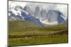 Torres Del Paine-Tony-Mounted Photographic Print