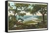 Torrey Pines Beach, San Diego County, California-null-Framed Stretched Canvas