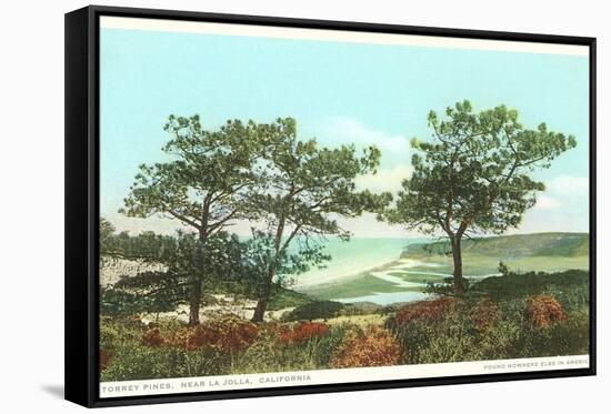 Torrey Pines, San Diego County, California-null-Framed Stretched Canvas
