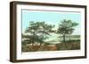 Torrey Pines, San Diego County, California-null-Framed Premium Giclee Print